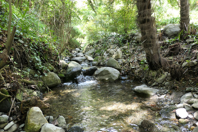 Stream in the Valley Garden